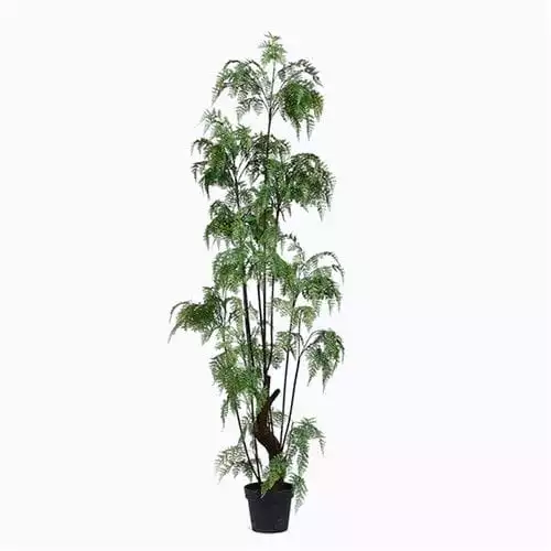 Faux Ferns Plant Bonsai For Landscaping